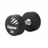 Zestaw hantli tiguar 2 x 10 kg + 2 x 15 kg + 2 x 20 kg - 1989