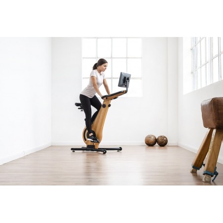 Rower treningowy NOHrD Shadow Jesion - 3862