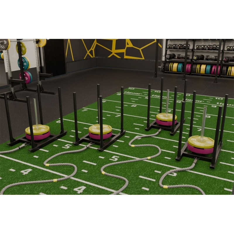 tiguar sanie 4RACE